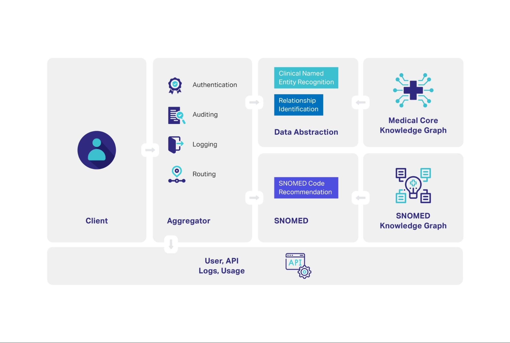 snomed image